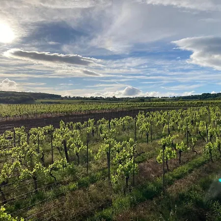 Apartment Au Sommet De La Vigne Rosheim