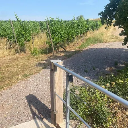 Au Sommet De La Vigne Apartment *