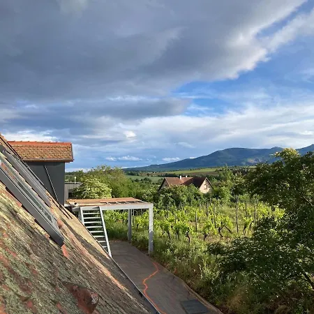 Au Sommet De La Vigne Rosheim
